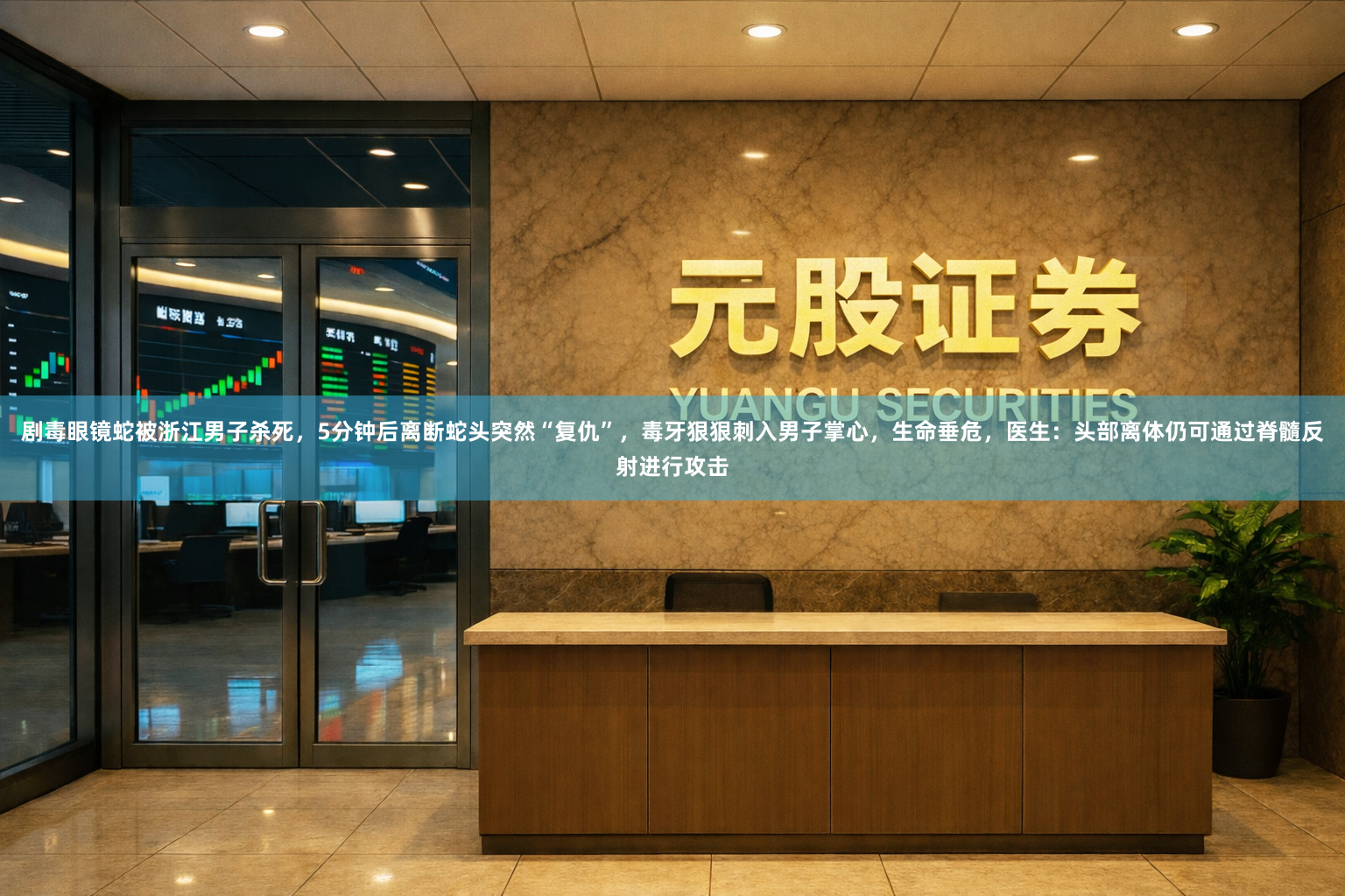 剧毒眼镜蛇被浙江男子杀死,5分钟后离断蛇头突然“复仇”,毒牙狠狠刺入男子掌心,生命垂危,医生:头部离体仍可通过脊髓反射进行攻击